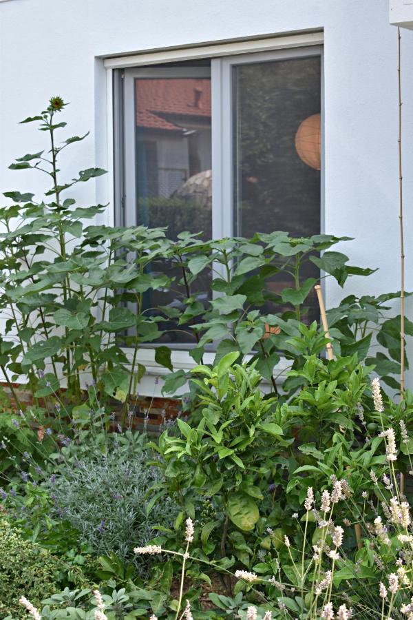 Appartamento Postaja 33 Zgornje Skofije Esterno foto